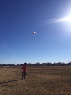 まつぶし緑の丘公園 2018/01/15 15:24:36