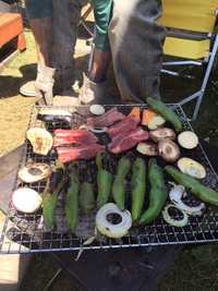 うちBBＱ♪ 2016/05/05 13:16:25