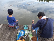 水元公園♪ 2016/09/29 11:40:35