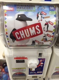 CHUMSガチャ 2015/08/04 16:35:36
