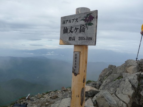 今年山に行ってなかった･･･