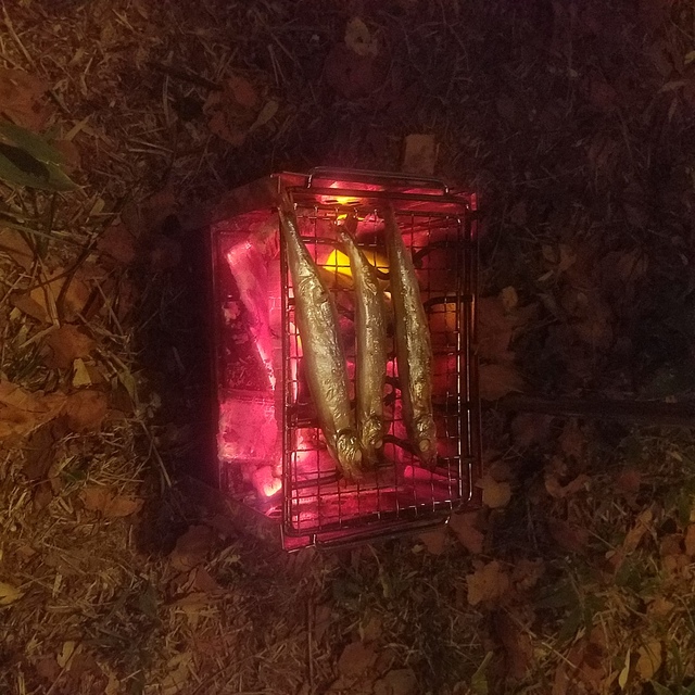 出撃中
