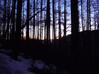 2014年1月6日の鳳凰山、観音岳まで 2014/01/13 23:46:31