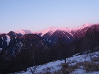 過日1月29日の鳳凰山、観音岳まで 2014/02/08 16:58:34