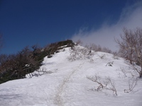 2014年5月7日、連休明けの鳳凰山、薬師、観音(2) 2014/05/16 23:04:43