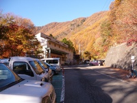 11月4日、鳳凰山へ、観音岳まででした 2015/11/07 15:09:57