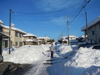 大雪の影響は深刻、買い物へ、歩いて4時間とか、、 2014/02/16 22:34:33