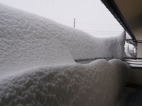 自宅周辺で積雪120cmを越えるって、、、 2014/02/15 08:03:44