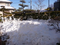 雪はもういいよ、、そんな感じです、、、 2014/02/21 23:47:32