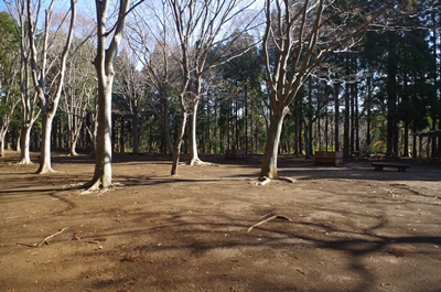 2015/01/17_今年最初のキャンプは昭和の森で(前編)