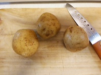 ダッチDEフライドポテト