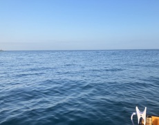 夏的釣行。
