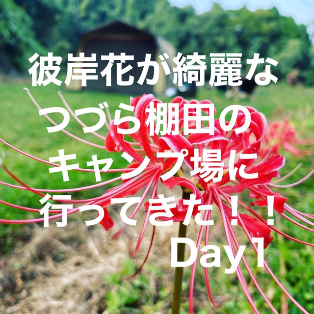 つづら棚田1