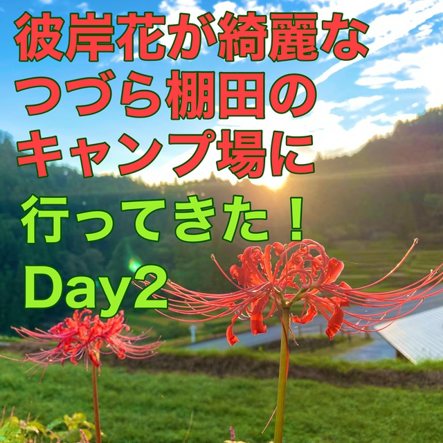 つづら棚田21