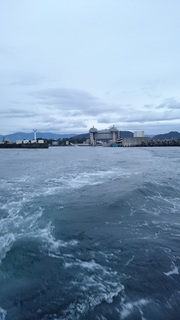 3月８日　沼津　アカムツ　中深海