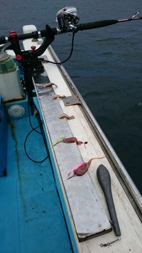 3月８日　沼津　アカムツ　中深海