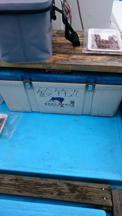 3月８日　沼津　アカムツ　中深海