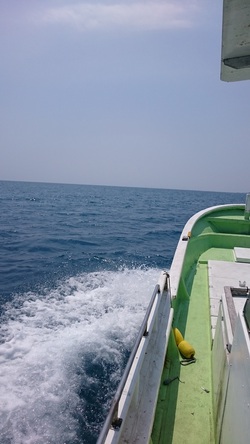 4月26日　清水　中深海　ジギング　餌　アカムツ