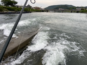 河川6月(3)