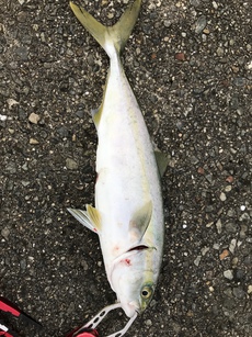 8/31