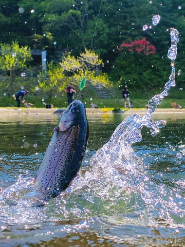 ★平谷湖を楽しむ★第三話「分からない だから 面白い」