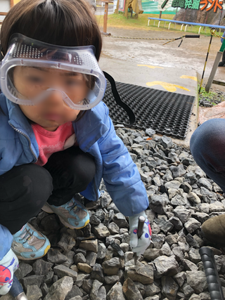 化石を掘りにいってみよう　車中泊の旅 in　福井県