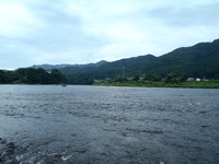 8月2日　九頭竜川中部　アユ釣り