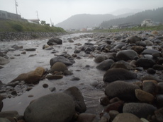 郡上長良川アユ釣り13日&16日 2020/09/01 12:03:00