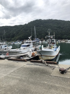 10月3日　ティップラン　あおさを釣りに行った 2020/10/26 13:22:00