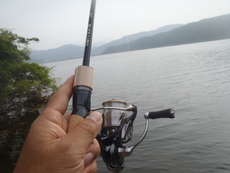 デカイのバラしたバス釣り 2020/06/15 12:39:00