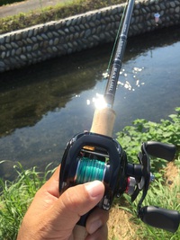 ナマズ釣り 初挑戦なのだ