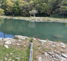 鱒蔵に行ってきたよー