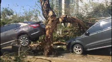 中国で台風