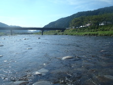 8月23日郡上長良川アユ釣り 2020/09/10 07:50:00