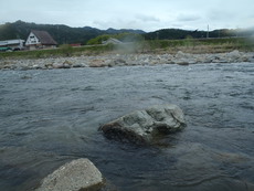 4月29日長良川本流アマゴ釣り 2019/05/01 12:50:00
