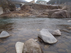 3月30日 長良川本流&支流アマゴ釣り 2019/04/04 08:42:00