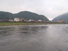 9月14日 長良川アユ釣り  撃沈1 2019/09/20 17:32:00