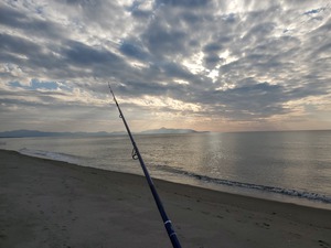 シロギス求めて北へ南へ