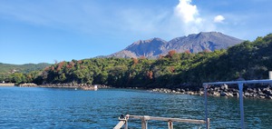 錦江湾の筏で過去一番の釣果かなぁ