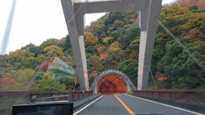 宮ケ瀬湖の紅葉 2016/11/15 14:26:55