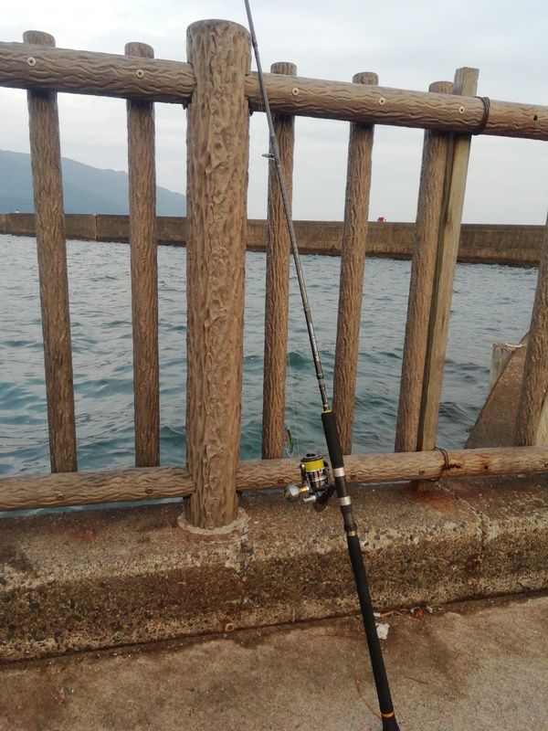 激混み！！ 敦賀新港までショアジギ釣ーリング