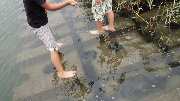 ゆづパパのちょっとそこまで 釣り日記 木曽川 家族で穴釣りでハゼ釣り