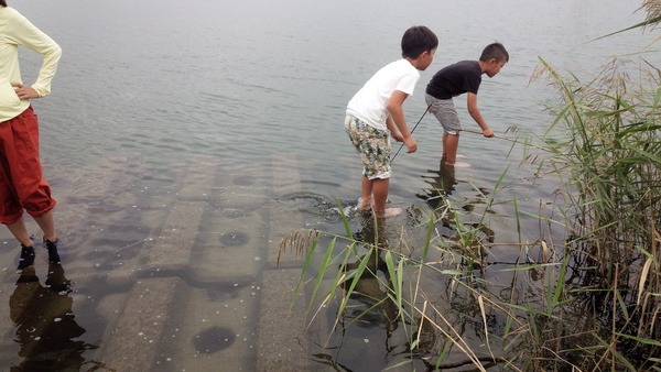 ゆづパパのちょっとそこまで 釣り日記 木曽川 家族で穴釣りでハゼ釣り