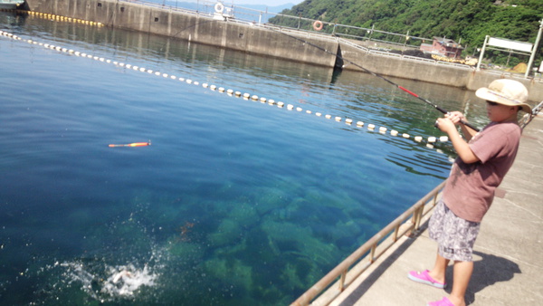 ゆづと男釣り旅　常神半島を満喫