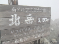 去年の今頃・・・