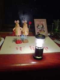 うーん、勝ったのか負けたのか…