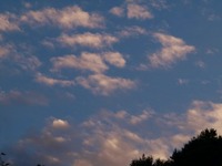 雲に 2008/11/12 21:51:07