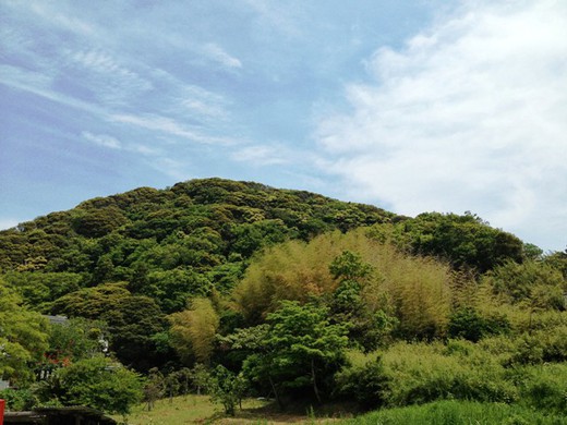 三浦半島最高峰へ＠大楠山
