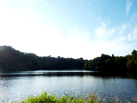 稲ヶ崎キャンプ場（千葉県）