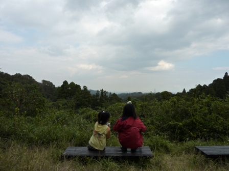 鎌倉天園ハイキング